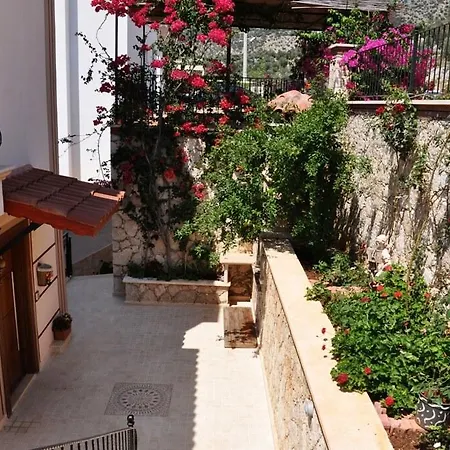 White Star Villa *