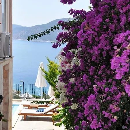 White Star Kalkan
